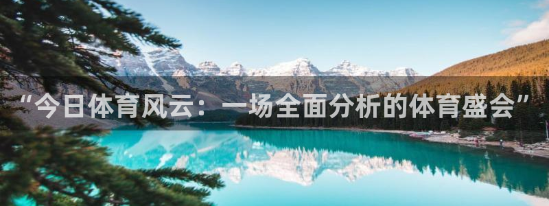 “今日体育风云：一场全面分析的体育盛会”