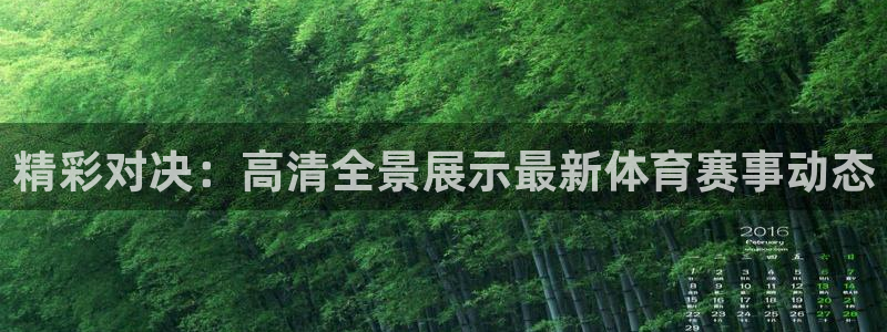 精彩对决：高清全景展示最新体育赛事动态