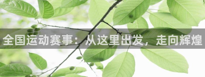 全国运动赛事：从这里出发，走向辉煌