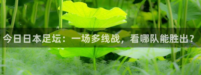 今日日本足坛：一场多线战，看哪队能胜出？