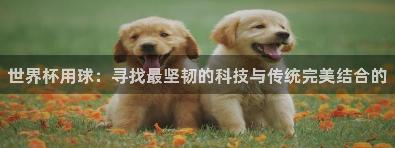 世界杯用球：寻找最坚韧的科技与传统完美结合的